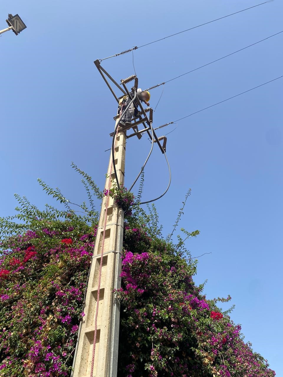 Électrification